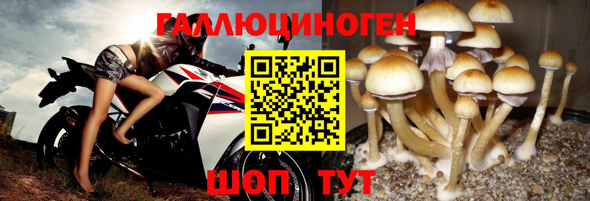 Галлюциногенные грибы Magic Shrooms  Вход с VPN  наркотики  Северобайкальск 