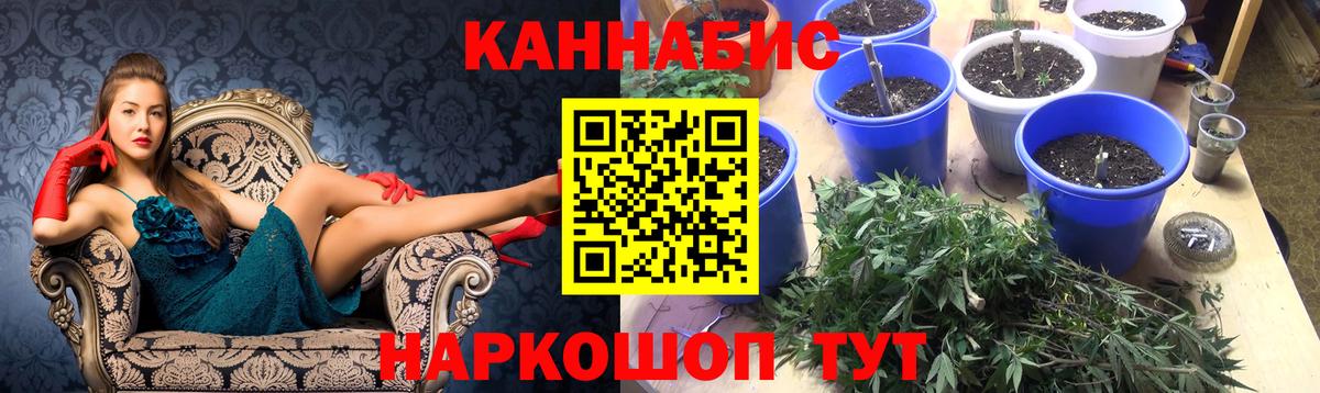 Каннабис Amnesia  Вход с VPN  Бошки Шишки White Widow  Каннабис LSD WEED  Северобайкальск  Бошки Шишки VHQ 